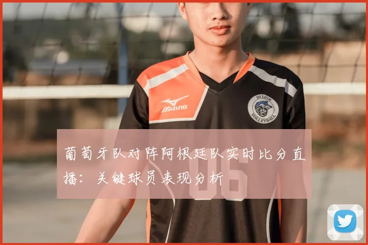 葡萄牙队对阵阿根廷队实时比分直播:关键球员表现分析
